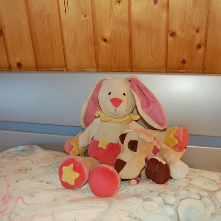 Apartment Akelei Saas-Fee