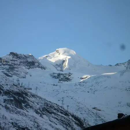 Akelei Saas Fee