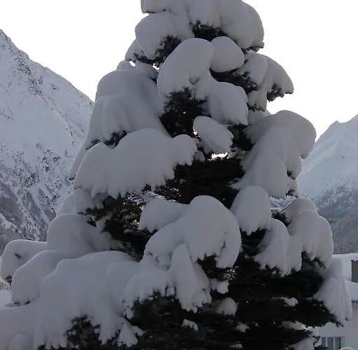 Akelei 아파트 Saas Fee