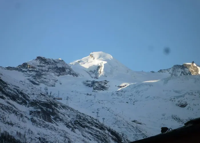 Akelei Saas Fee
