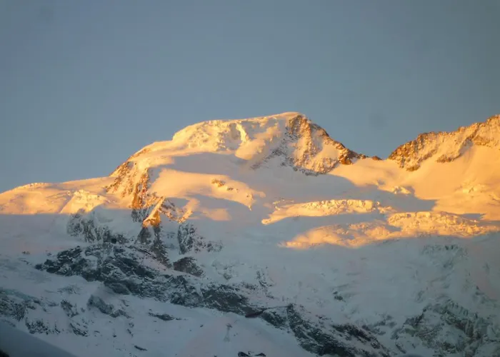 Akelei Saas Fee